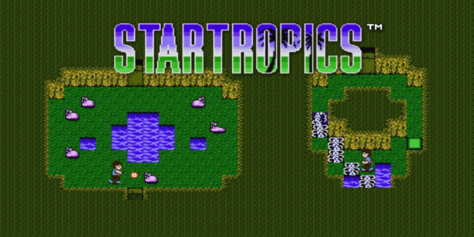 startropics nes