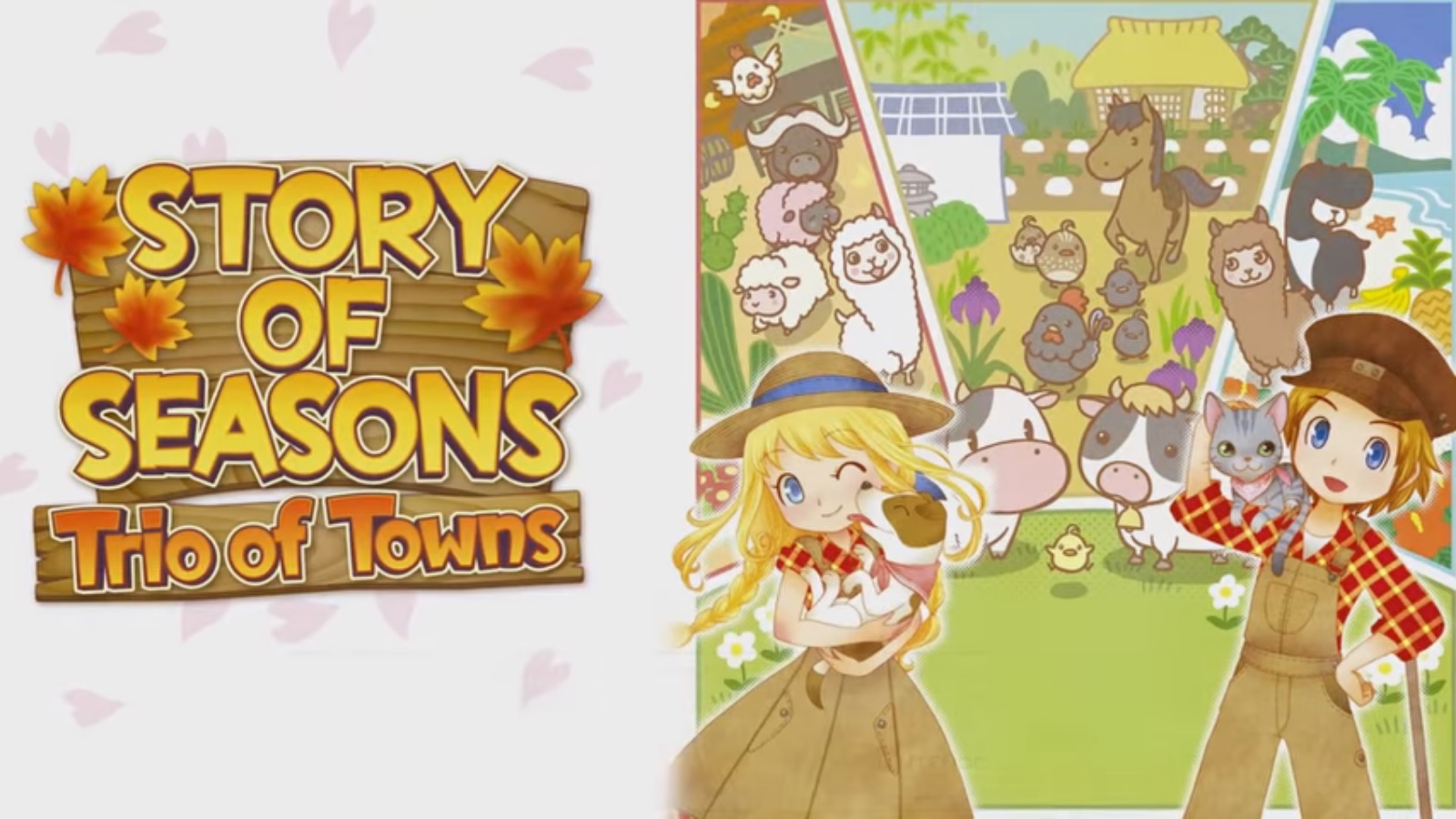 story of seasons a wonderful life erscheinungsdatum