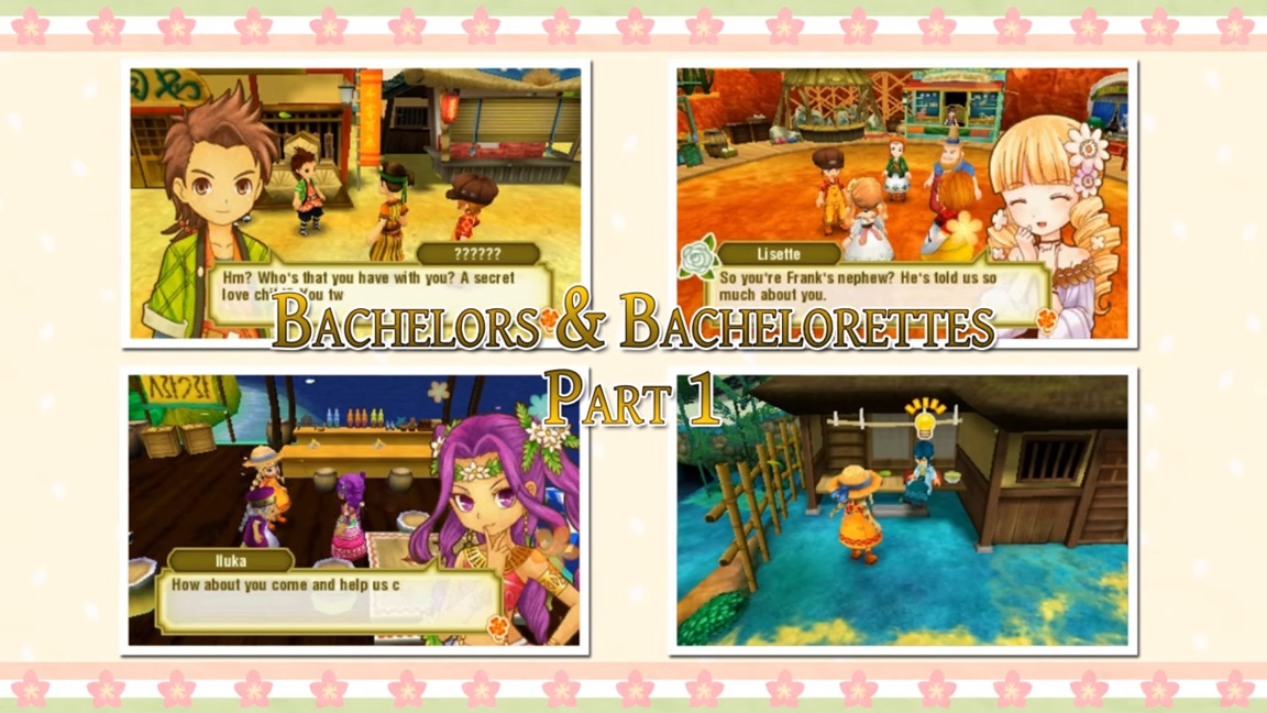 story of seasons a wonderful life pc