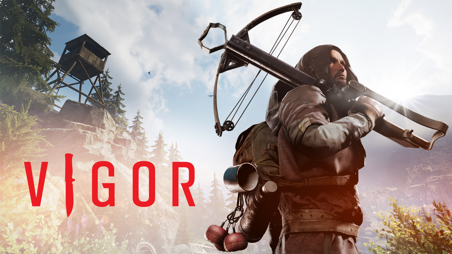 vigor for switch