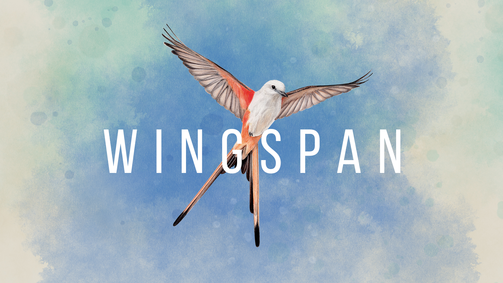 wingspan strategy