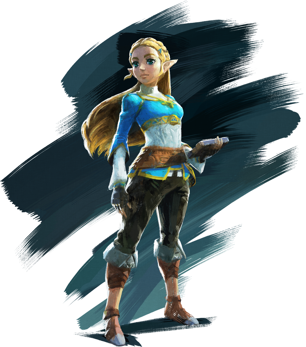 zelda breath of the wild iso switch