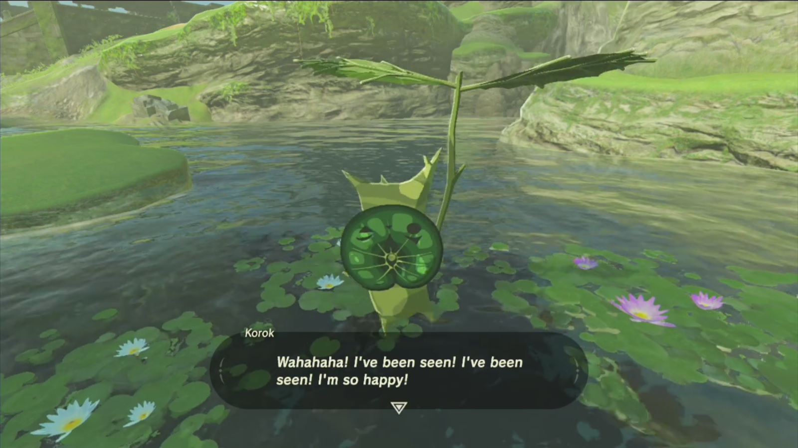 zelda breath of the wild korok seeds