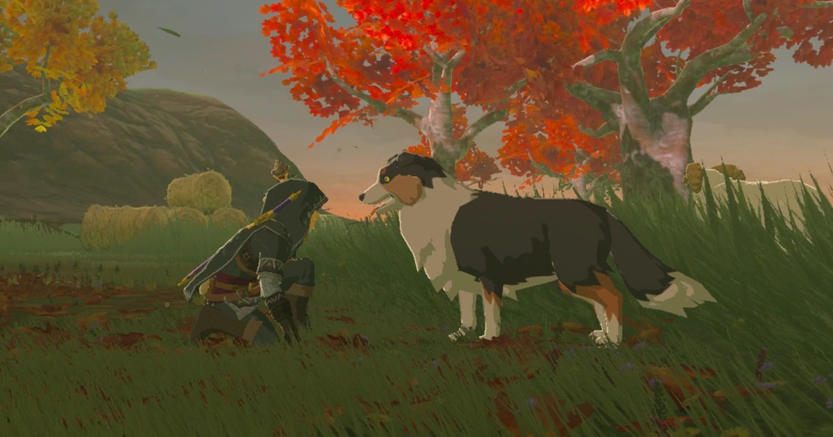 where are dogs botw